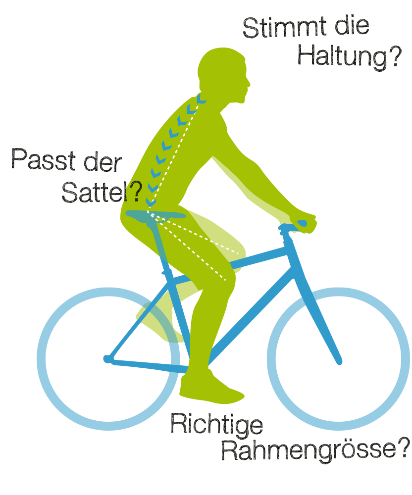 Ergonomie auf dem Fahrrad – Sitzposition, Sattel und Rahmengröße